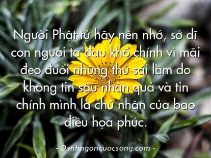 Người Phật tử hãy nên nhớ, sở dĩ con người ta đau khổ chính vì mãi đeo đuổi những thứ sai lầm do không tin sâu nhân quả và tin chính mình là chủ nhân của bao điều họa phúc.