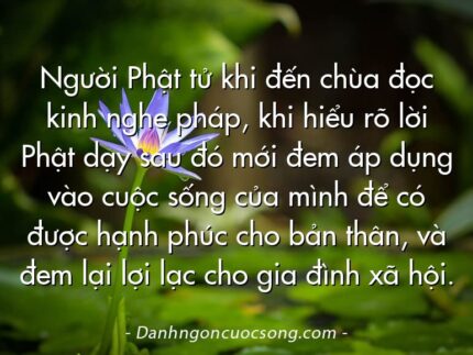 Người Phật tử khi đến chùa đọc kinh nghe pháp, khi hiểu rõ lời Phật dạy sau đó mới đem áp dụng vào cuộc sống của mình để có được hạnh phúc cho bản thân, và đem lại lợi lạc cho gia đình xã hội.