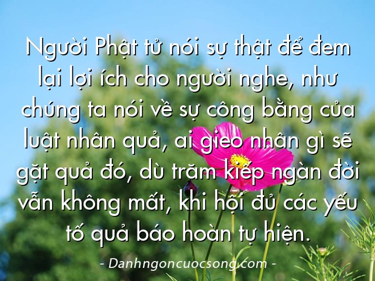 Người Phật tử nói sự thật để đem lại lợi ích cho người nghe, như chúng ta nói về sự công bằng của luật nhân quả, ai gieo nhân gì sẽ gặt quả đó, dù trăm kiếp ngàn đời vẫn không mất, khi hội đủ các yếu tố quả báo hoàn tự hiện.