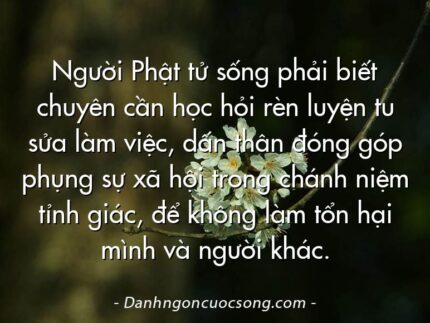 Người Phật tử sống phải biết chuyên cần học hỏi rèn luyện tu sửa làm việc, dấn thân đóng góp phụng sự xã hội trong chánh niệm tỉnh giác, để không làm tổn hại mình và người khác.