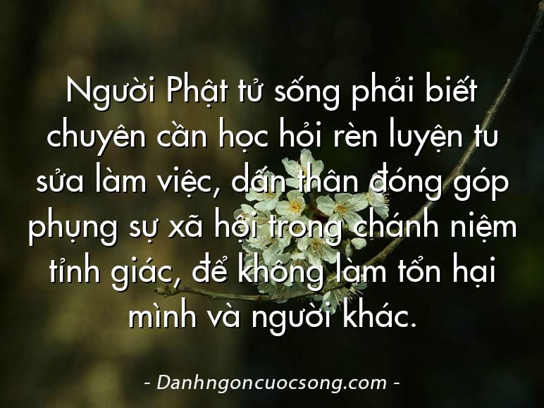 Người Phật tử sống phải biết chuyên cần học hỏi rèn luyện tu sửa làm việc, dấn thân đóng góp phụng sự xã hội trong chánh niệm tỉnh giác, để không làm tổn hại mình và người khác.