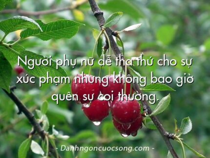 Người phụ nữ dễ tha thứ cho sự xúc phạm nhưng không bao giờ quên sự coi thường.