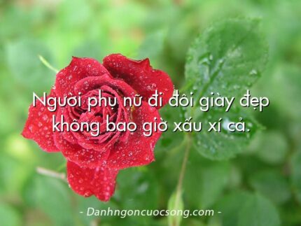 Người phụ nữ đi đôi giày đẹp không bao giờ xấu xí cả.