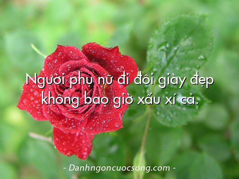 Người phụ nữ đi đôi giày đẹp không bao giờ xấu xí cả.