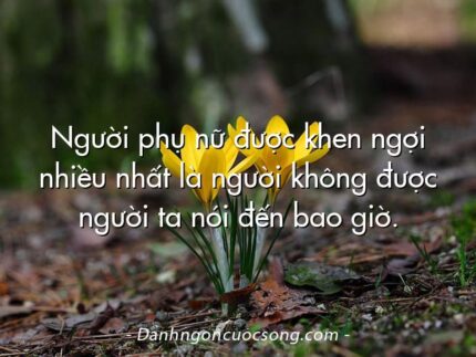 Người phụ nữ được khen ngợi nhiều nhất là người không được người ta nói đến bao giờ.