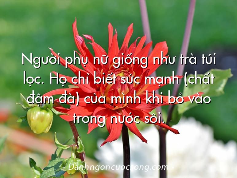 Người phụ nữ giống như trà túi lọc. Họ chỉ biết sức mạnh (chất đậm đà) của mình khi bỏ vào trong nước sôi.
