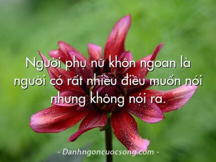 Người phụ nữ khôn ngoan là người có rất nhiều điều muốn nói nhưng không nói ra.