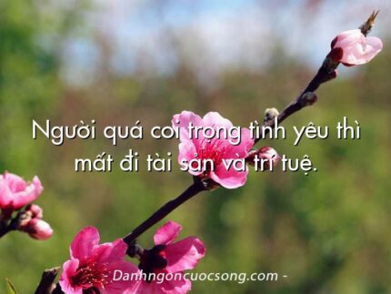 Người quá coi trọng tình yêu thì mất đi tài sản và trí tuệ.
