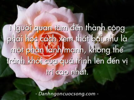 Người quan tâm đến thành công phải học cách xem thất bại như là một phần lành mạnh, không thể tránh khỏi của quá trình lên đến vị trí cao nhất.