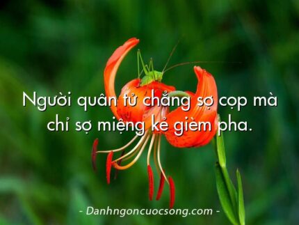 Người quân tử chẳng sợ cọp mà chỉ sợ miệng kẻ gièm pha.