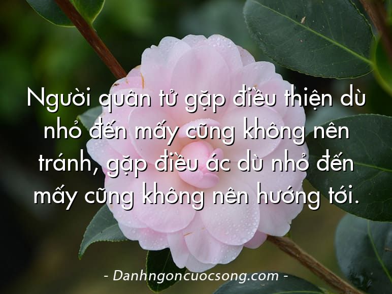 Người quân tử gặp điều thiện dù nhỏ đến mấy cũng không nên tránh, gặp điều ác dù nhỏ đến mấy cũng không nên hướng tới.