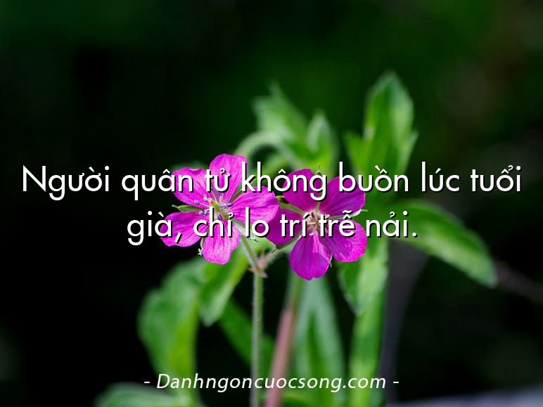 Người quân tử không buồn lúc tuổi già, chỉ lo trí trễ nải.