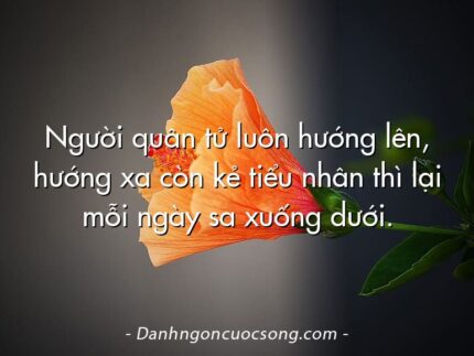 Người quân tử luôn hướng lên, hướng xa còn kẻ tiểu nhân thì lại mỗi ngày sa xuống dưới.