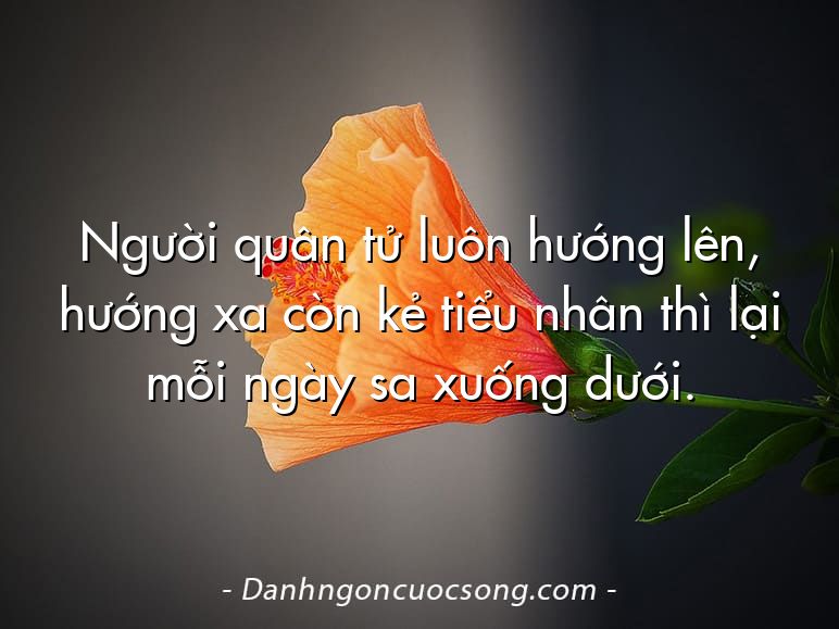Người quân tử luôn hướng lên, hướng xa còn kẻ tiểu nhân thì lại mỗi ngày sa xuống dưới.