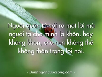Người quân tử nói ra một lời mà người ta cho mình là khôn, hay không khôn, cho nên không thể không thận trọng lời nói.