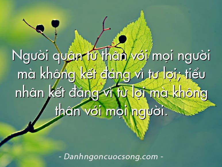 Người quân tử thân với mọi người mà không kết đảng vì tư lợi; tiểu nhân kết đảng vì tư lợi mà không thân với mọi người.
