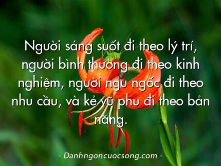 Người sáng suốt đi theo lý trí, người bình thường đi theo kinh nghiệm, người ngu ngốc đi theo nhu cầu, và kẻ vũ phu đi theo bản năng.