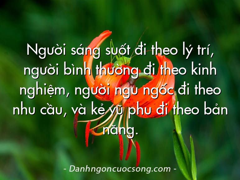 Người sáng suốt đi theo lý trí, người bình thường đi theo kinh nghiệm, người ngu ngốc đi theo nhu cầu, và kẻ vũ phu đi theo bản năng.