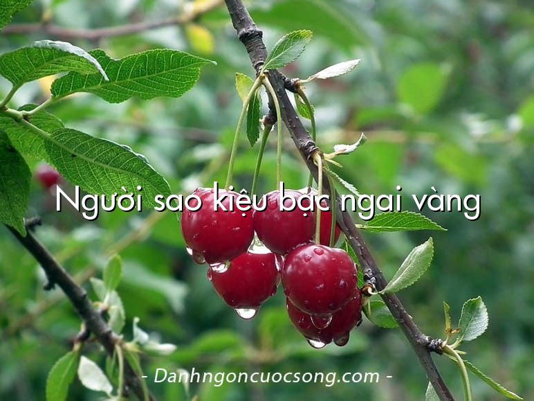 Người sao kiệu bạc ngai vàng