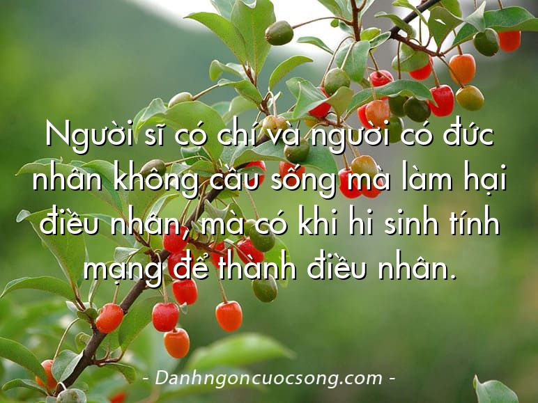 Người sĩ có chí và người có đức nhân không cầu sống mà làm hại điều nhân, mà có khi hi sinh tính mạng để thành điều nhân.