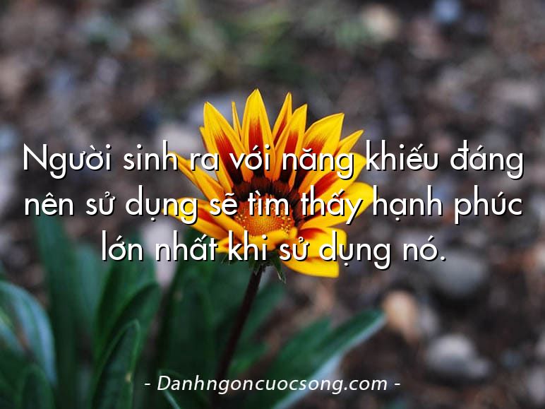 Người sinh ra với năng khiếu đáng nên sử dụng sẽ tìm thấy hạnh phúc lớn nhất khi sử dụng nó.