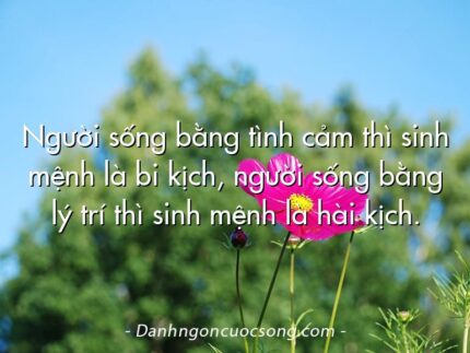 Người sống bằng tình cảm thì sinh mệnh là bi kịch, người sống bằng lý trí thì sinh mệnh là hài kịch.