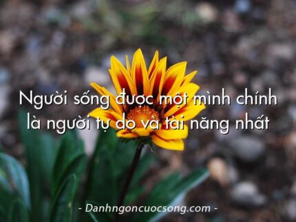 Người sống được một mình chính là người tự do và tài năng nhất