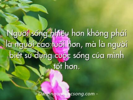Người sống nhiều hơn không phải là người cao tuổi hơn, mà là người biết sử dụng cuộc sống của mình tốt hơn.