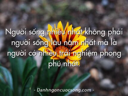 Người sống nhiều nhất không phải người sống lâu năm nhất mà là người có nhiều trải nghiệm phong phú nhất.