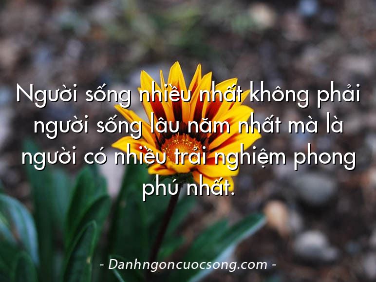 Người sống nhiều nhất không phải người sống lâu năm nhất mà là người có nhiều trải nghiệm phong phú nhất.