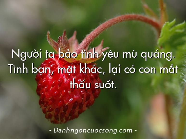 Người ta bảo tình yêu mù quáng. Tình bạn, mặt khác, lại có con mắt thấu suốt.