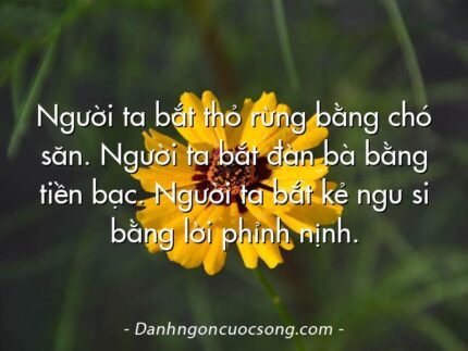 Người ta bắt thỏ rừng bằng chó săn. Người ta bắt đàn bà bằng tiền bạc. Người ta bắt kẻ ngu si bằng lời phỉnh nịnh.