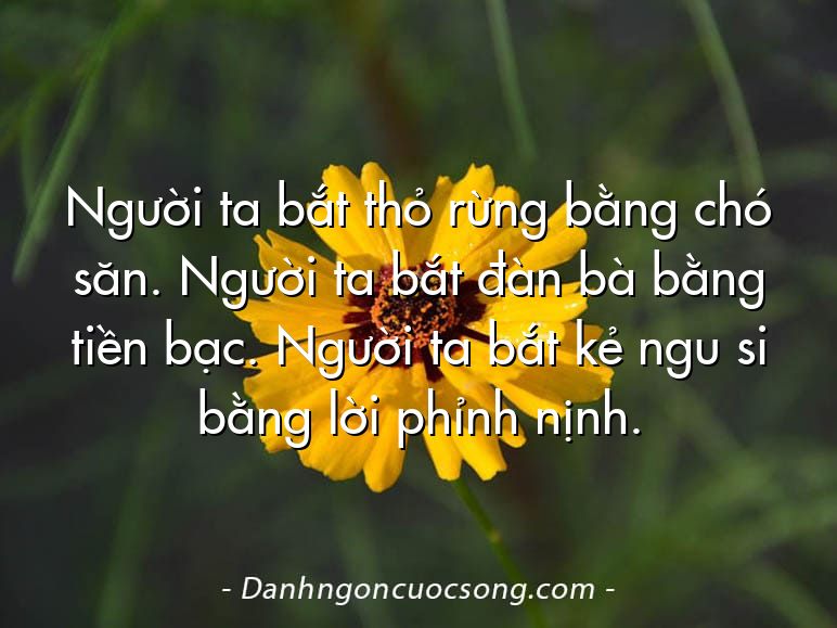 Người ta bắt thỏ rừng bằng chó săn. Người ta bắt đàn bà bằng tiền bạc. Người ta bắt kẻ ngu si bằng lời phỉnh nịnh.