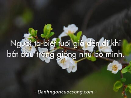Người ta biết tuổi già đến đi khi bắt đầu trông giống như bố mình.