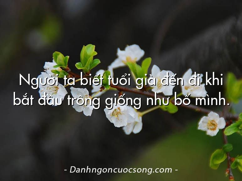 Người ta biết tuổi già đến đi khi bắt đầu trông giống như bố mình.