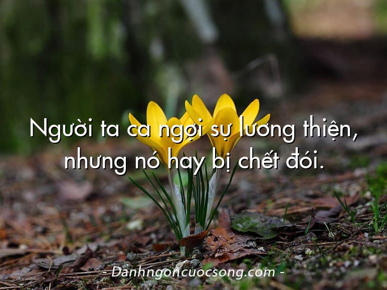 Người ta ca ngợi sự lương thiện, nhưng nó hay bị chết đói.