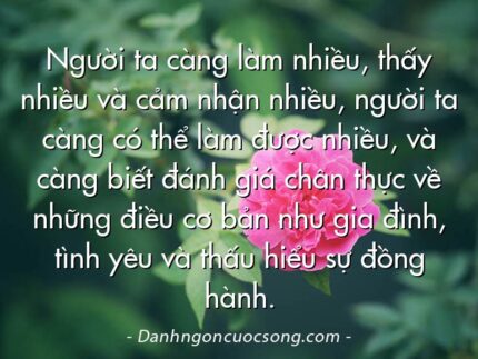 Người ta càng làm nhiều, thấy nhiều và cảm nhận nhiều, người ta càng có thể làm được nhiều, và càng biết đánh giá chân thực về những điều cơ bản như gia đình, tình yêu và thấu hiểu sự đồng hành.