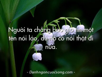 Người ta chẳng bao giờ tin một tên nói láo, dù nó có nói thật đi nữa.
