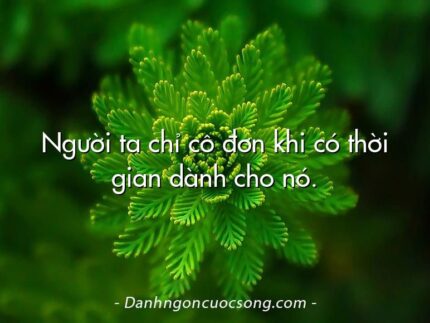 Người ta chỉ cô đơn khi có thời gian dành cho nó.