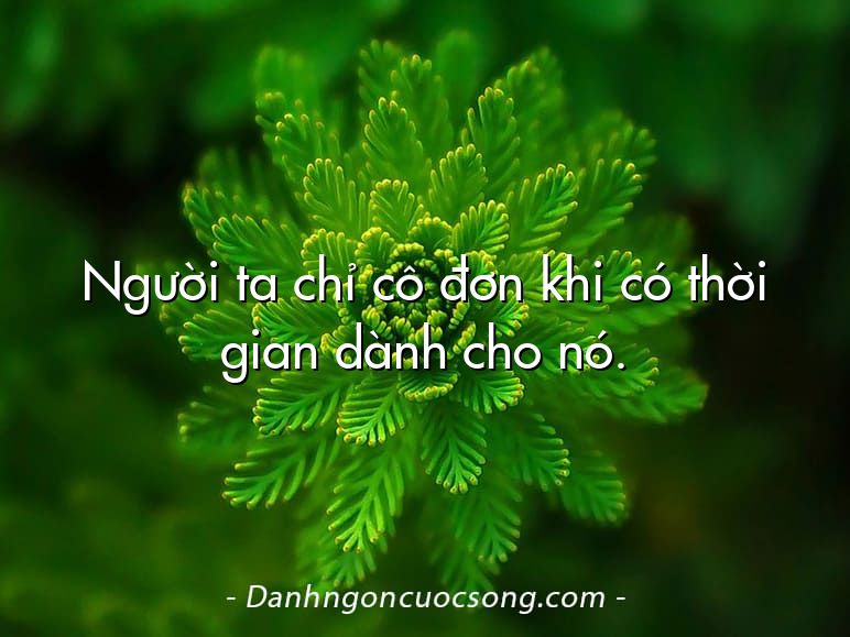 Người ta chỉ cô đơn khi có thời gian dành cho nó.