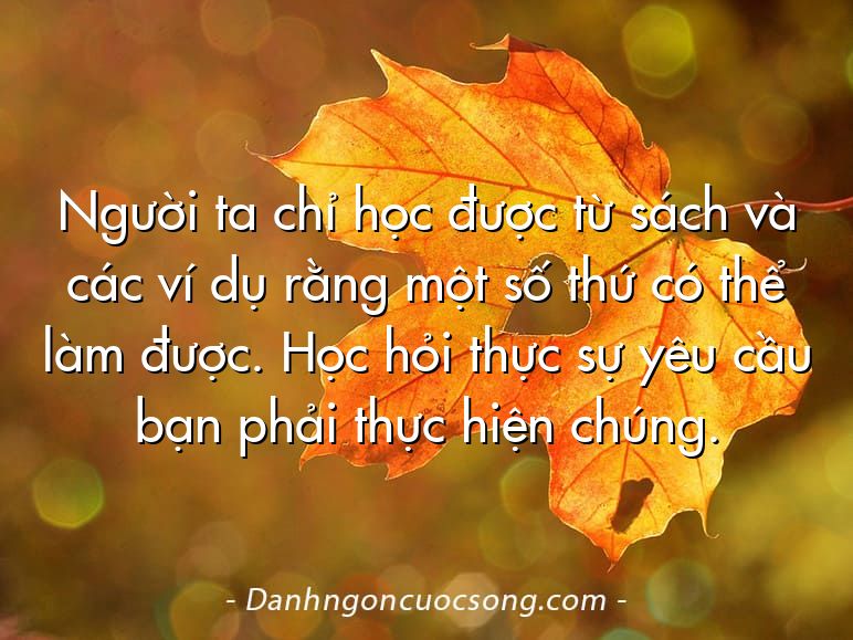Người ta chỉ học được từ sách và các ví dụ rằng một số thứ có thể làm được. Học hỏi thực sự yêu cầu bạn phải thực hiện chúng.