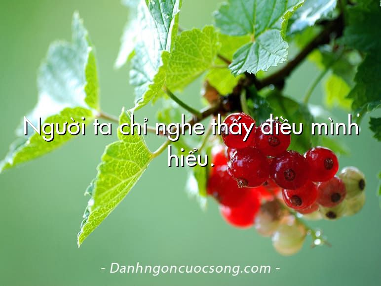 Người ta chỉ nghe thấy điều mình hiểu.