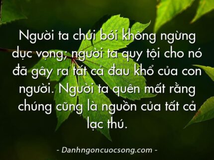 Người ta chửi bới không ngừng dục vọng; người ta quy tội cho nó đã gây ra tất cả đau khổ của con người. Người ta quên mất rằng chúng cũng là nguồn của tất cả lạc thú.