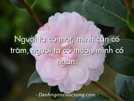 Người ta cố một, mình cần cố trăm, người ta cố mười, mình cố ngàn.