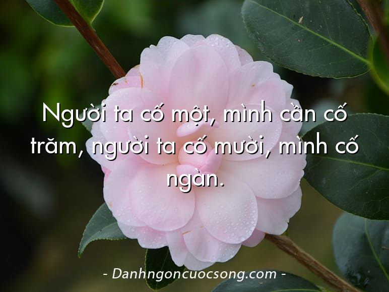 Người ta cố một, mình cần cố trăm, người ta cố mười, mình cố ngàn.