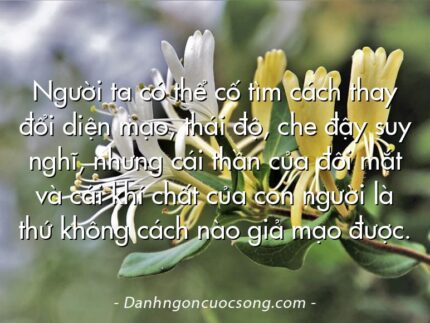 Người ta có thể cố tìm cách thay đổi diện mạo, thái độ, che đậy suy nghĩ, nhưng cái thần của đôi mắt và cái khí chất của con người là thứ không cách nào giả mạo được.