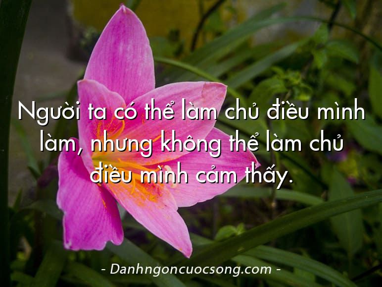 Người ta có thể làm chủ điều mình làm, nhưng không thể làm chủ điều mình cảm thấy.