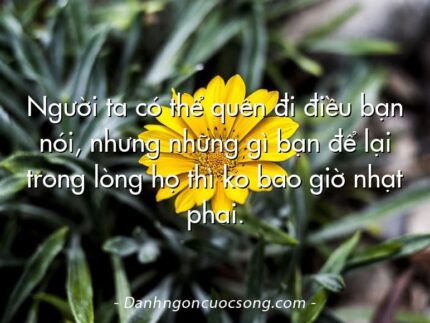 Người ta có thể quên đi điều bạn nói, nhưng những gì bạn để lại trong lòng họ thì ko bao giờ nhạt phai.