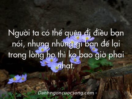 Người ta có thể quên đi điều bạn nói, nhưng những gì bạn để lại trong lòng họ thì ko bao giờ phai nhạt.