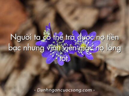 Người ta có thể trả được nợ tiền bạc nhưng vĩnh viễn mắc nợ lòng tốt.